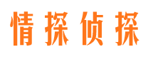 龙潭市侦探公司